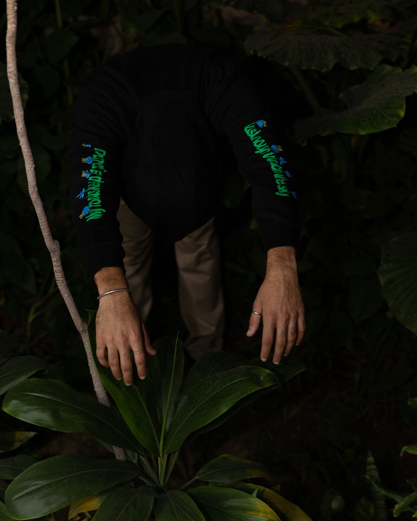 Roots to the Sky Hoodie